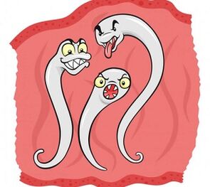 ποια παράσιτα μπορούν να ζήσουν στο ανθρώπινο σώμα